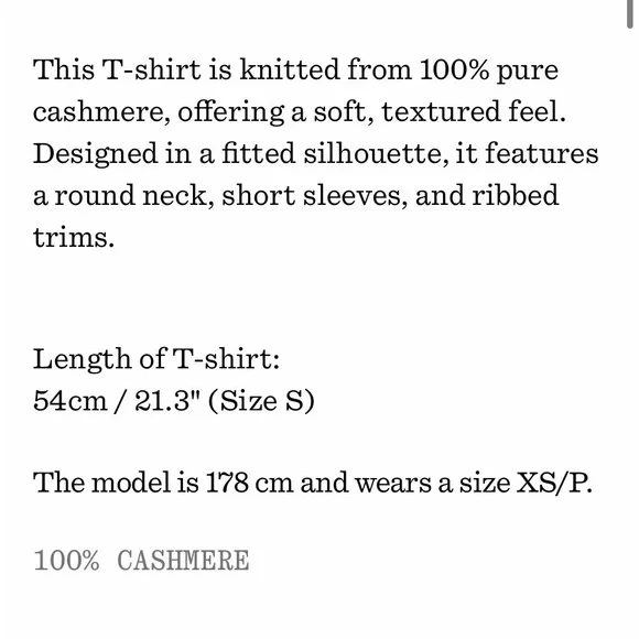 NWT Brown Cashmere T-　Shirt - Picture 4 of 5